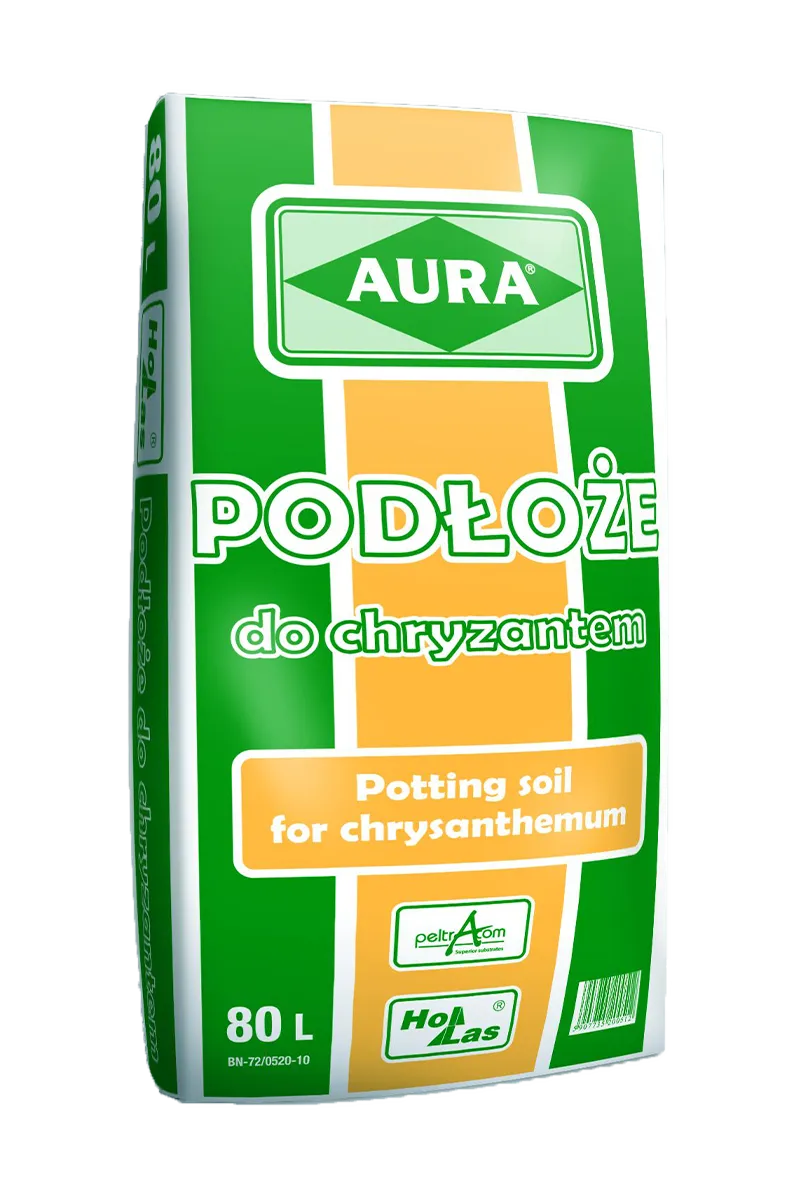 aura podloze chryzantemy