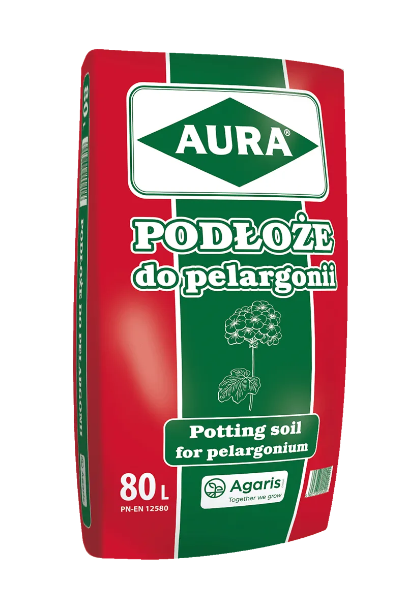 aura podloze pelargonia